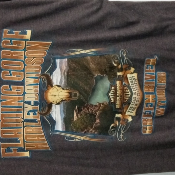 Harley-Davidson Gray Short Sleeve Tee Men’s Large - Picture 3 of 6